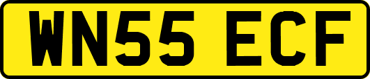 WN55ECF