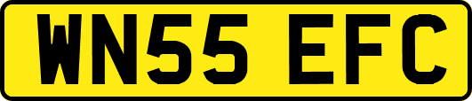 WN55EFC