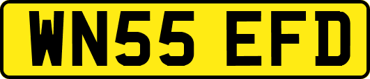 WN55EFD
