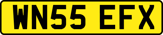 WN55EFX