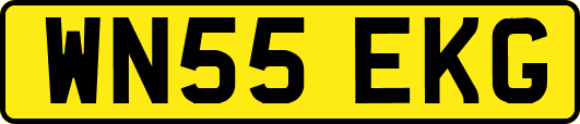 WN55EKG