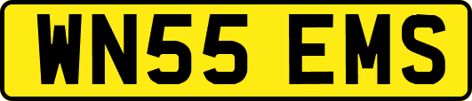 WN55EMS