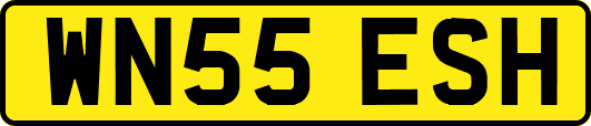 WN55ESH