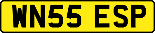 WN55ESP