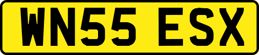 WN55ESX