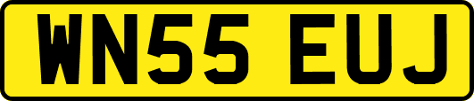 WN55EUJ