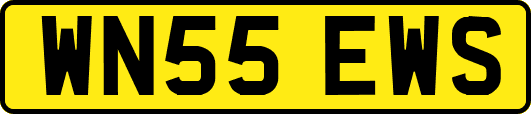 WN55EWS