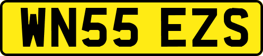 WN55EZS