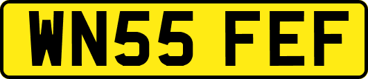 WN55FEF
