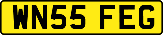 WN55FEG
