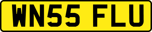 WN55FLU