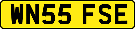 WN55FSE