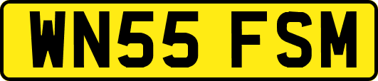 WN55FSM