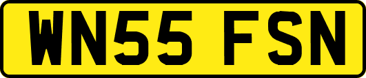 WN55FSN