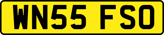 WN55FSO