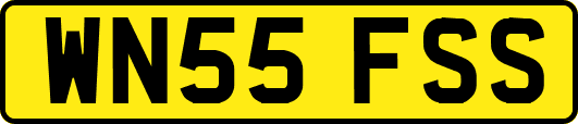 WN55FSS