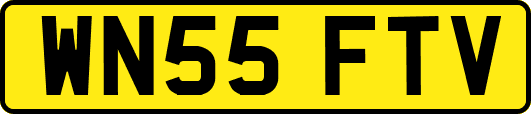 WN55FTV
