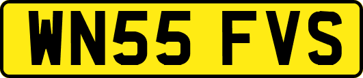 WN55FVS
