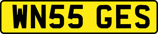 WN55GES