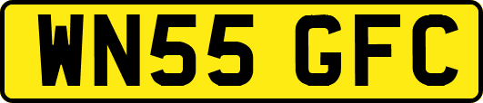 WN55GFC