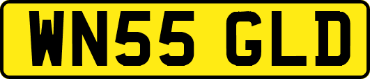 WN55GLD