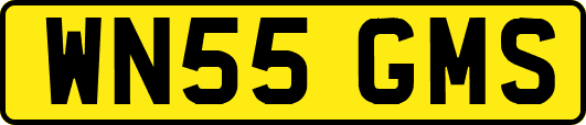 WN55GMS