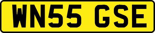 WN55GSE