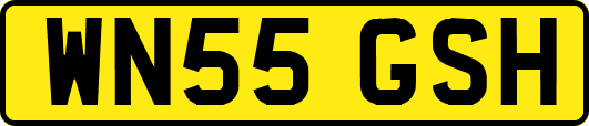 WN55GSH
