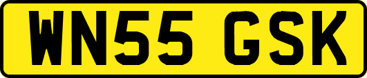 WN55GSK