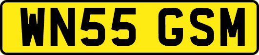 WN55GSM