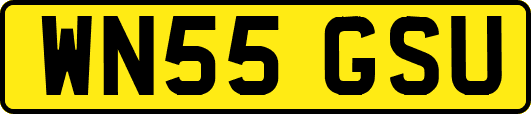 WN55GSU
