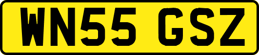 WN55GSZ