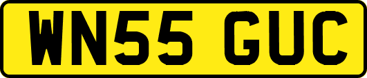 WN55GUC