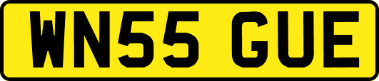 WN55GUE