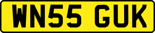 WN55GUK