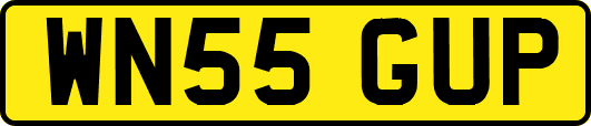 WN55GUP