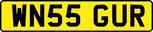 WN55GUR