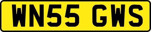 WN55GWS