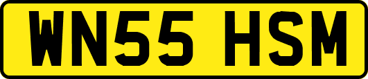 WN55HSM