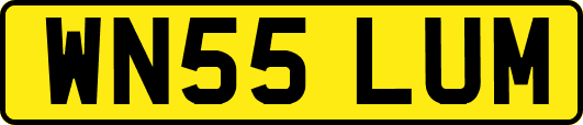 WN55LUM