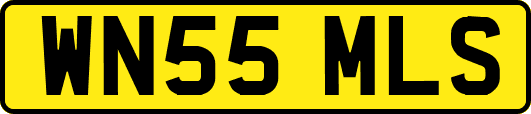 WN55MLS