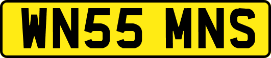 WN55MNS