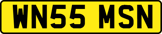WN55MSN