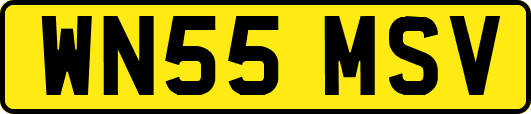 WN55MSV