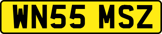 WN55MSZ