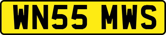WN55MWS