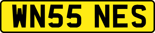 WN55NES