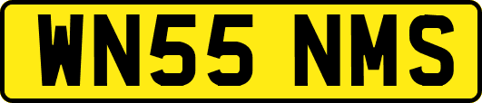 WN55NMS
