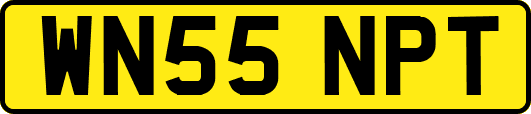 WN55NPT