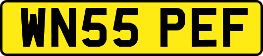 WN55PEF